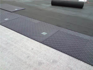 green-roof-pic-1 green-roof-pic-1