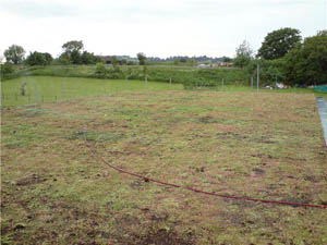green-roof-pic-4 green-roof-pic-4